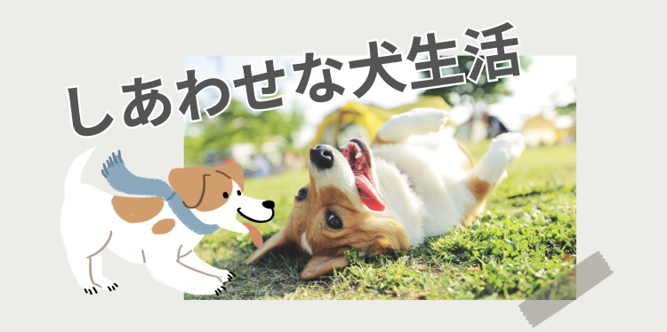 カワイイがいっぱい！ワンダーランド